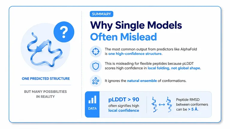 An infographic explaining why single protein structure predictions like AlphaFold can be misleading for flexible peptides.