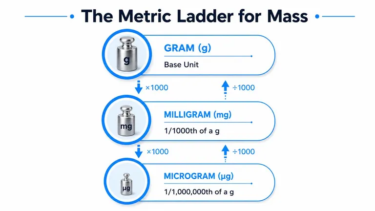 A metric conversion ladder for mass showing grams, milligrams, and micrograms with their conversion factors.