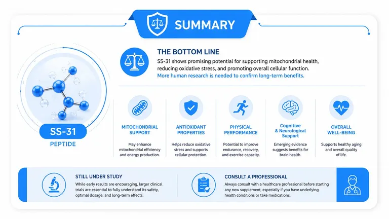 A summary infographic explaining the potential benefits, research status, and safety considerations of the SS-31 peptide supplement.