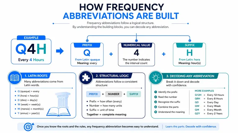 An infographic explaining how to interpret medical frequency abbreviations by breaking them into prefixes, numbers, and suffixes.
