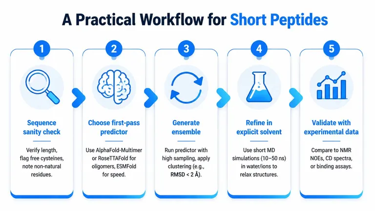 A five-step scientific workflow diagram outlining the process for predicting and refining short peptide conformations.