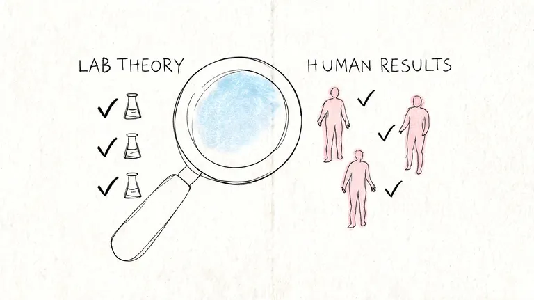 A hand-drawn illustration comparing successful laboratory theories with verified positive health results in human subjects.