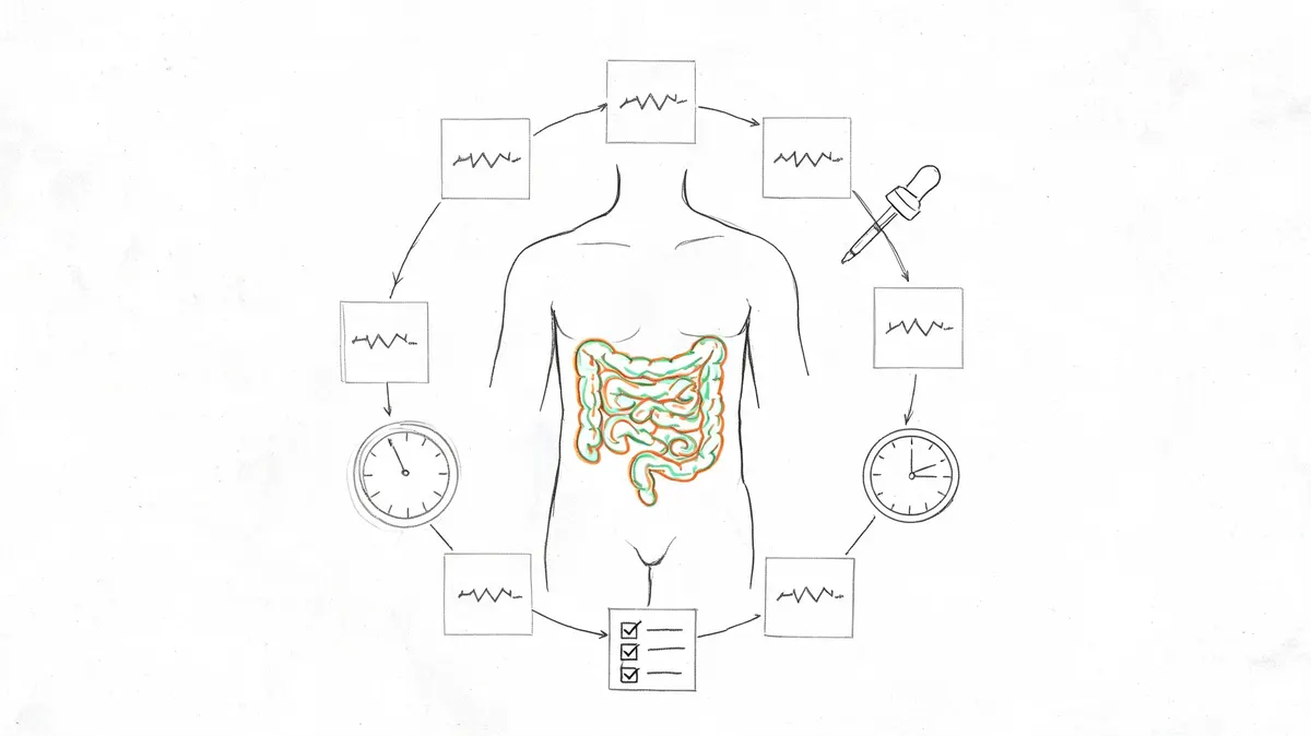 7 Best Peptides for Gut Health: An Evidence-Based Guide