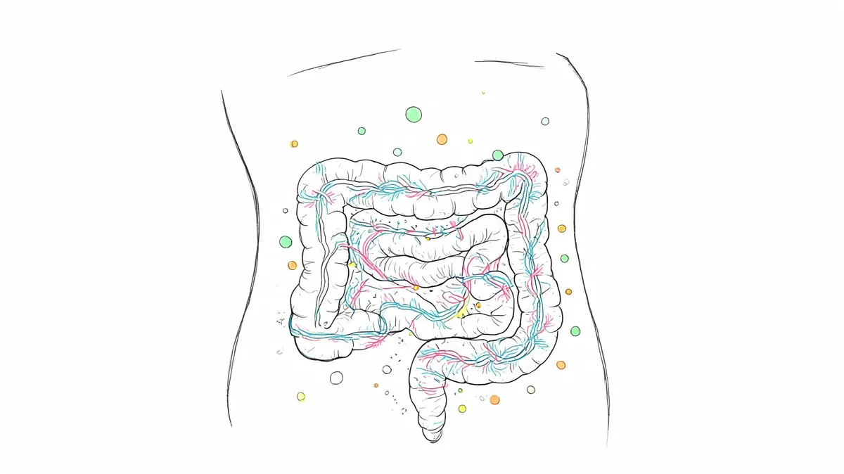 Collagen Peptides for Gut Health: A Practical Guide